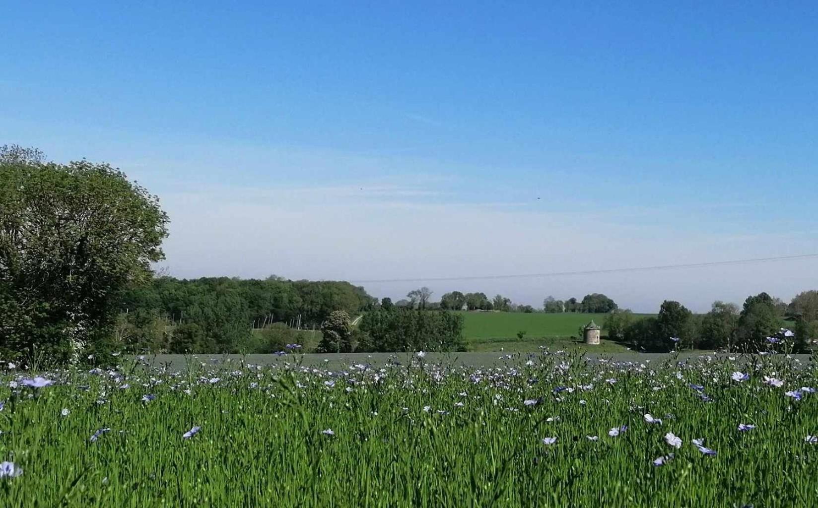 La Vieille Ferme Villa Donnay Dış mekan fotoğraf