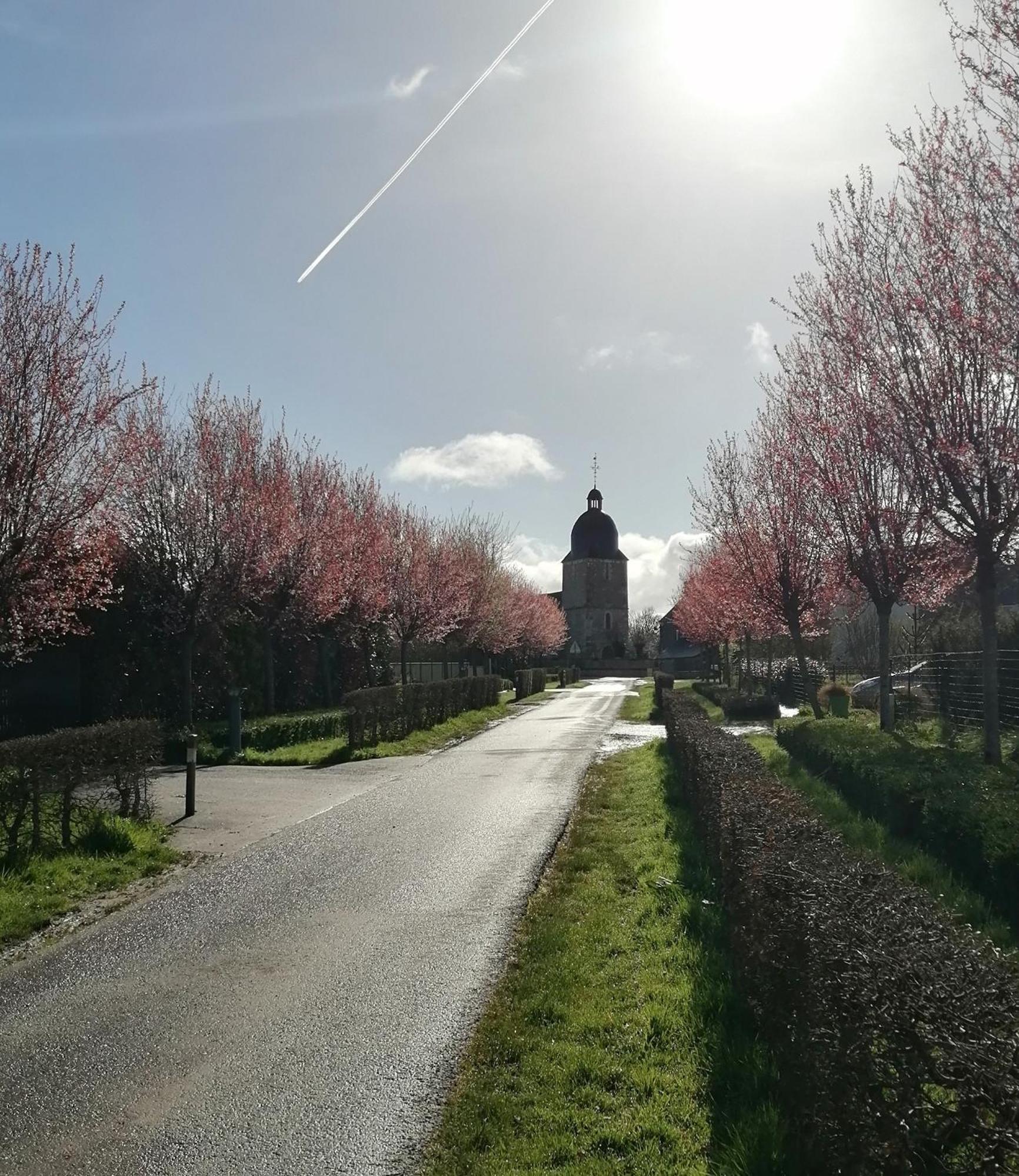 La Vieille Ferme Villa Donnay Dış mekan fotoğraf